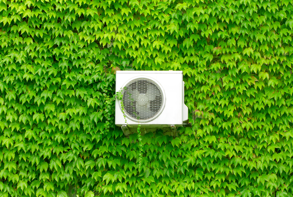 AC green wall AC green wall